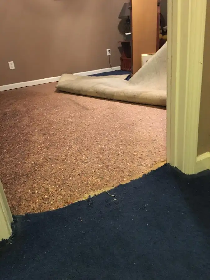 Carpet pad removal revealing water damage during Water Mitigation Services in Little Falls